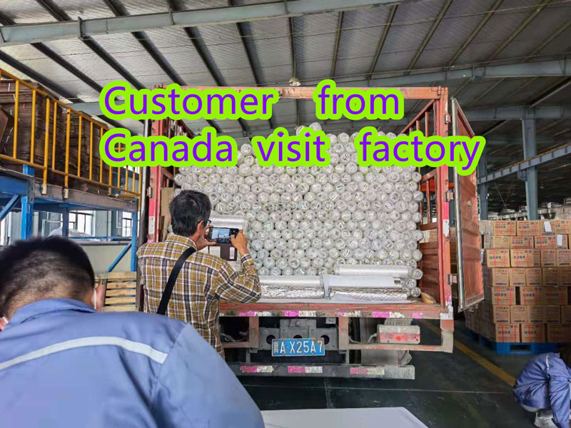 Customer form Canada Visit DeYou Aluminium Foil Factory
